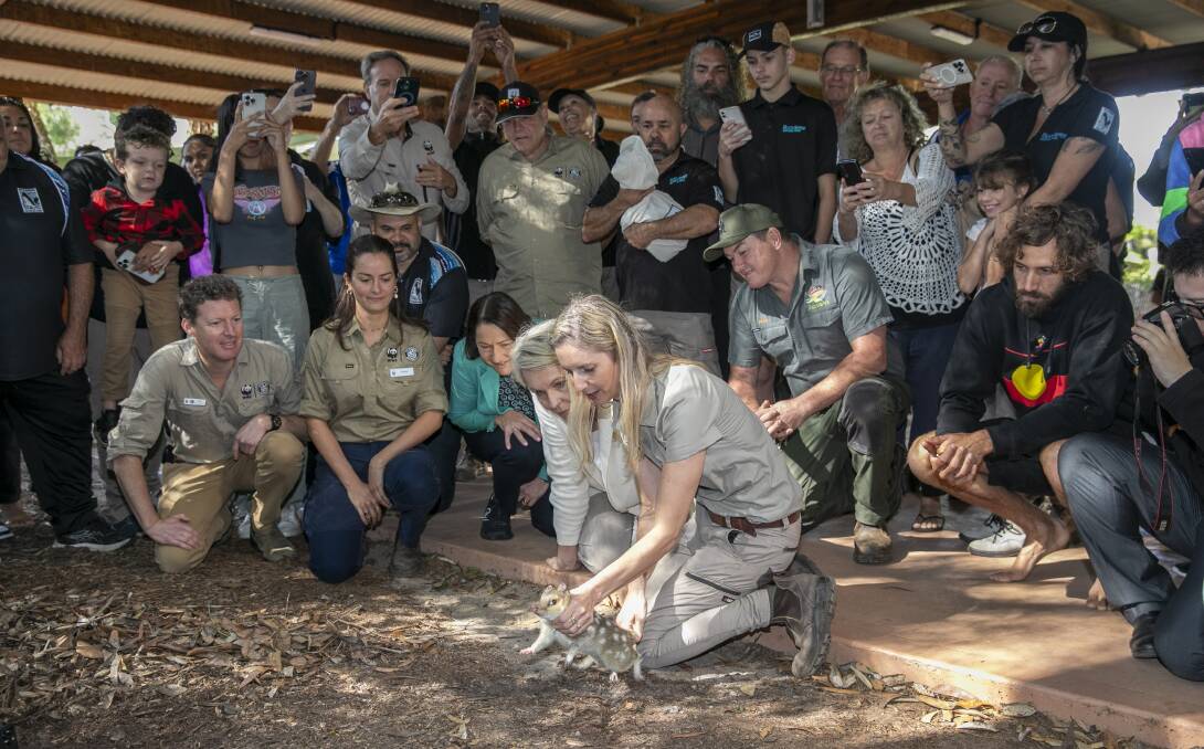 Federal Environment Minister Tanya Plibersek joins conservationalists and traditional owners for the release of eastern quolls at Booderee National Park. Picture WWF Think Mammoth