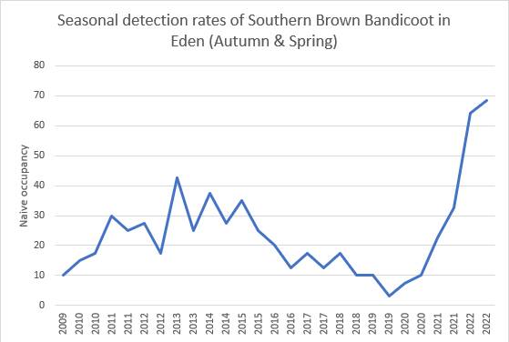 The Seasonal detection rates of Southern Brown Bandicoot in Eden during Autumn and Spring on a year to year basis. Graph supplied by Foresty Corporation. 
