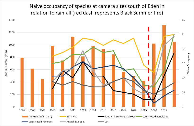 Naive occupancy of species at camera sites south of Eden in relation to rainfall. The red dash represents the Black Summer Fires. Graph supplied by Foresty Corporation. 