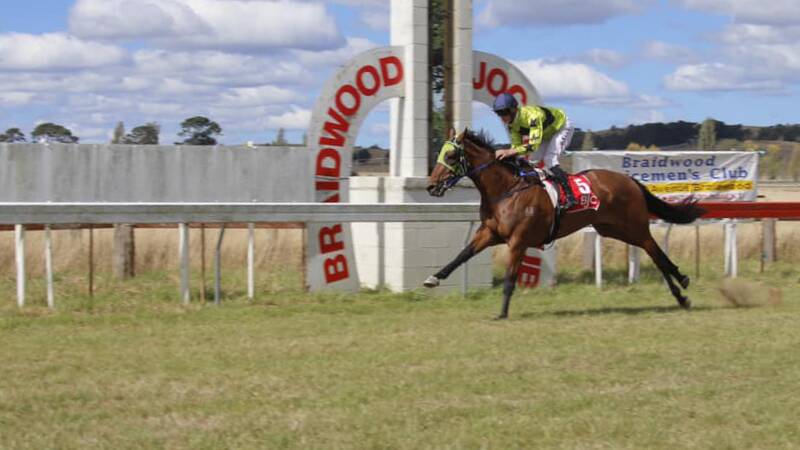 Bon Frankie wins the 2023 Braidwood Cup, ridden by Richard Bensley. Picture by Lance Fearne Photography