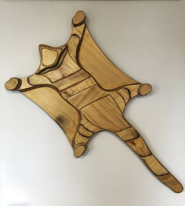 'Greater Glider' made from plantation hoop pine plywood. Picture supplied.