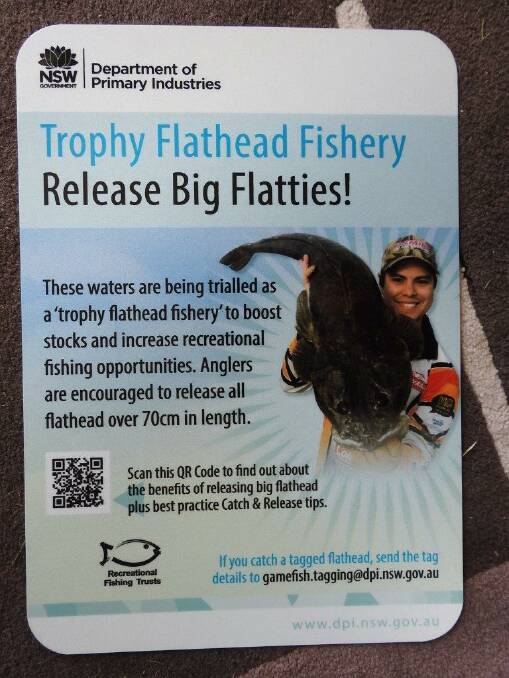 Message to world: Release big flatties!