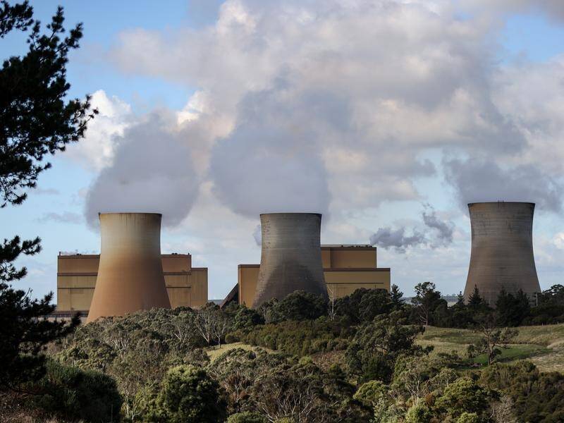 The WA Liberals support coal and gas-fired power stations until renewables can supply energy needs. (Diego Fedele/AAP PHOTOS)
