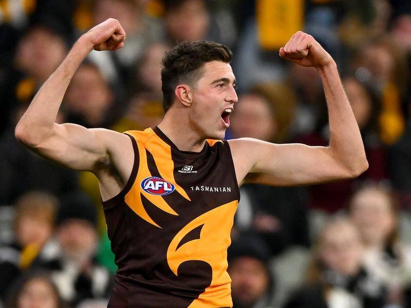 Former Hawk Brandon Ryan will turn out against his old club when Hawthorn play the Lions. (Morgan Hancock/AAP PHOTOS)